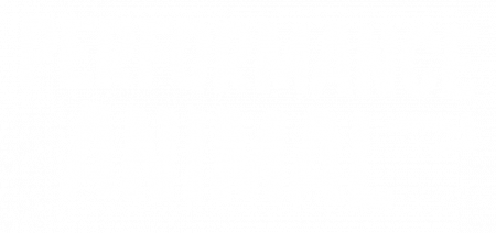 PERFORMANCE ANIMAL